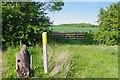 Fyfield Waymark Post in Rural East Ward