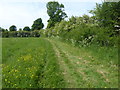 Footpath near Hale Farm in TN11 0QR