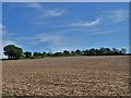 View over agricultural land to Keys Farm in Erewash District (B)