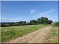 Farm Track near Highfield Farm in Crazies Hill and Cockpole Green