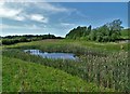 Man-made pond north east of Grove Farm in DE7 4PE