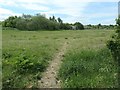 Public footpath heading south-west near Cringlesworth in LS26 9DL