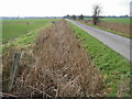 Looking SW along Cooper Street Drove and ditch in the Goshall Valley in CT13 9JH