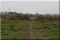 Footpath, Croxley Common Moor in WD18 8YH