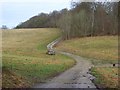 Track in woodland above Littlecote in SN8 2PW
