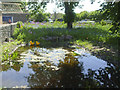 A pond by the school in BS35 4HB