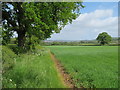 Field side path, Sutton parish in YO7 2QB