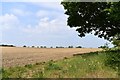 Thorpe Abbotts: Ploughed field in Brockdish
