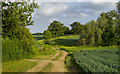 Path on farm track through arable land, Bobbingworth in CM5 9LW