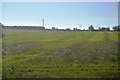 Rough grassland and pylons in BN18 0DH