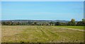 Farmland near Eastergate in PO20 3UY