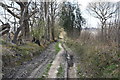 Footpath by Well Wood in TN11 0QB