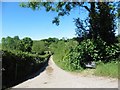Track to Stone Ash Farm in EX17 6RZ