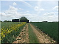 Field track to Windy Hill in HU12 9HD