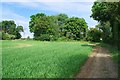 Footpath PROW 212_51 in CM5 0QD