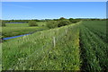 Footpath by the Great Ouse in MK44 1RT