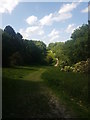 Footpath through Little Wittenham Wood in OX10 0QX