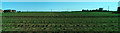 Panorama of the field from the footpath in NG34 9EF