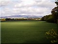 View of Farmland and Mountains near Stracathro, Angus in DD9 7QF