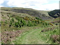 Track Close to the Valley of the Knock Burn, Breamish Valley in Ingram