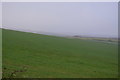 Chalk Downs Grassland in DT3 5PZ