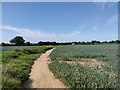 Footpath near Highfield Farm in RG10 8PU