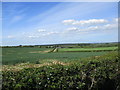 Hedgerow and farmland near Auchenheath in ML11 9UT