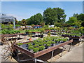 Manor Nurseries outside display, Runcton in PO20 1AZ
