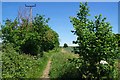 Bridleway 198_12 in CM17 0QL