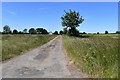 High Street: Track leading to Tithe Farm in NR35 1NA