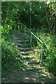 Steps on Footpath 192_20 in CM5 0JQ