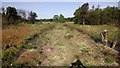 Raised Dry Strip of Land between Two Ditches on Boggy Ground in Seafield