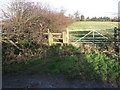 Stile, on path to Bellevue lane, Guilden Sutton in CH3 7DD