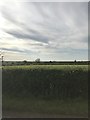 Field view near Broughton Astley in LE9 6TB