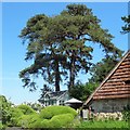 Outbuilding and trees in Bignor in RH20 1PQ