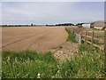 Dusty field at Wallingfen House Farm in HU15 2RH