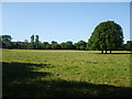 Field beside the manor in BA15 2SE