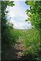 Footpath 174_4 to Rectory Road in Little Oakley