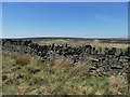 Collapsing stone wall, Slate Delfs Hill in HX7 5TW