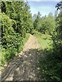 Rutted track on site of main railway line in S72 0HL