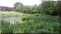 Well Maintained Small Pond on Business Premises in EH54 7GG
