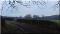 Nethermoor Farm Track / Bridleway in S42 6FE