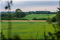 Agricultural fields near Featherbed Lane, Ashby-de-la-Zouch in LE65 1ST