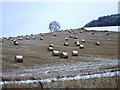 Hay bales in a snowy field in PH10 6RN
