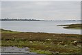 Langstone Harbour in Bedhampton Ward