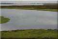 Channel between North Binness Island and Farlington Marshes in Bedhampton Ward