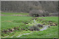 Stream near West Fleet House in DT3 4JE