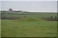 Tumulus, Great Hill in DT2 9JN