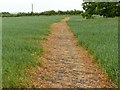 Field footpath near Screveton in NG13 8JN