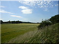 View towards Barff Lane from atop Dismantled Railway in YO8 9EX